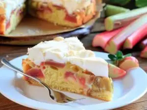 Tarte à la rhubarbe meringuée avec meringue dorée